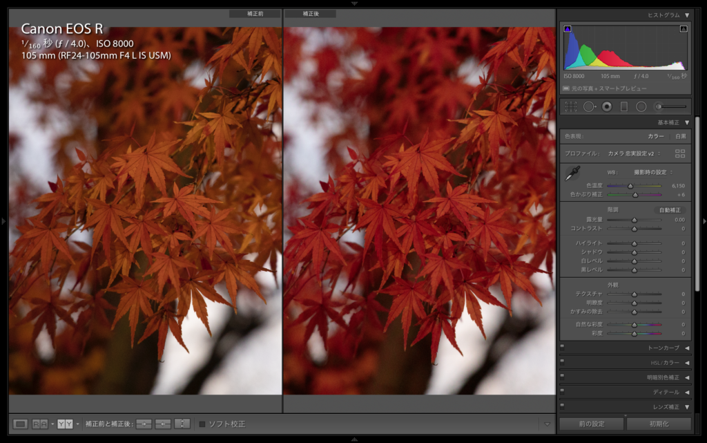 Adobe Lightroom Classic】 夕刻撮影の暗い写真を明るくすっきり補正 
