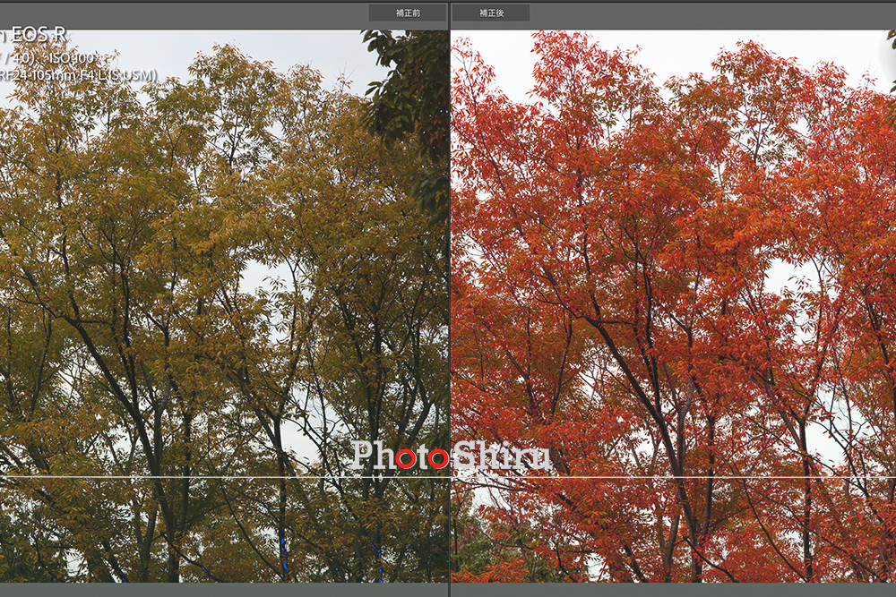 【Adobe Lightroom Classic】Canon EOS Rでちょっと早めの紅葉を現像してみる。