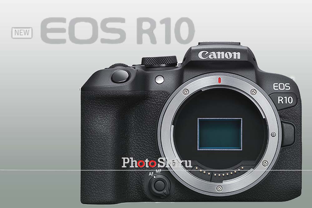 【Canon EOS R10】撮影、現像が楽しくなりそうなカメラが出ました！